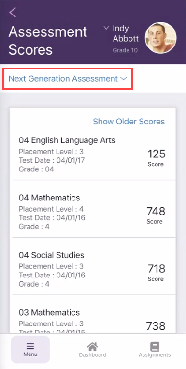 AssessmentScores1.png